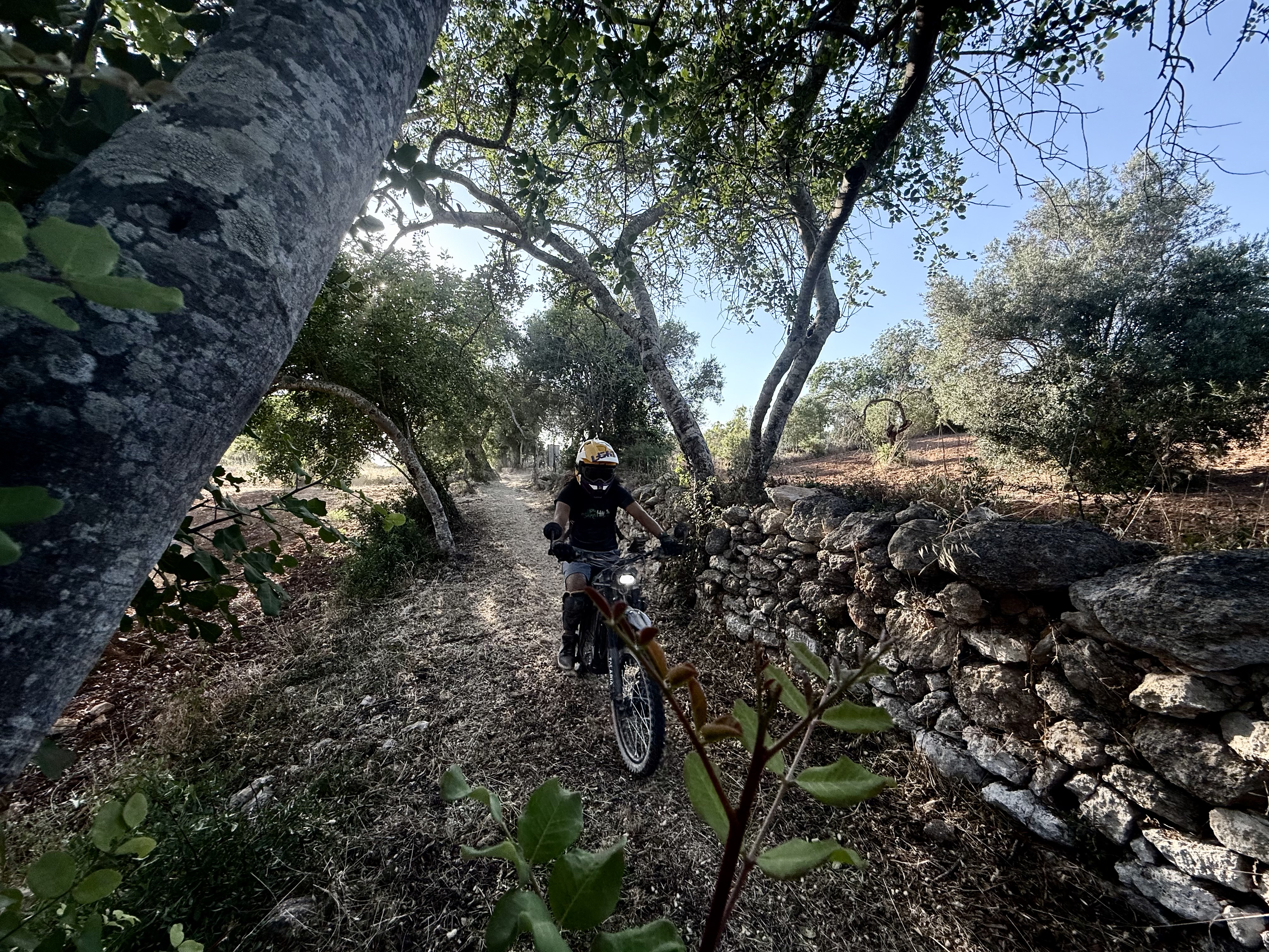 Paderne Castle electric bike tour in Algarve - Ewheelo photo 4